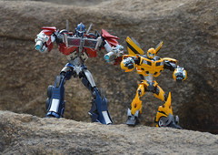 Iron Warrior IW-08 Rhubarb BumbleBii,in stock