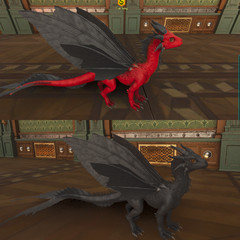 Ark Survival Ascended PVE Drakeling TOP STATS