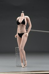 US 1/6 Female Mid Bust Pale Skin Flexible Seamless Body 12in Action Figure Doll