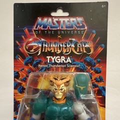 Mattel ThunderCats Tygra Action Figure Boxed With Accessories & Clothes