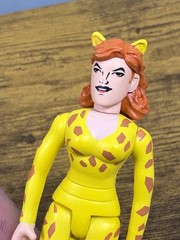 2002 DC Direct DC Pocket Heroes Cheetah Vs Wonder Woman 3” Action Figure