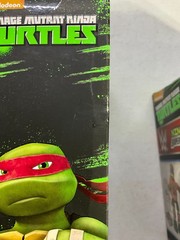 Playmates TMNT x WWE Ninja Superstars Series 1 Complete Set SEALED
