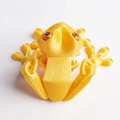 Cute Mini 3D Printed Frogs with Magnetic Feet, Articulated 3D Printed Frog OY