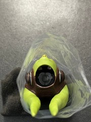 Hot Toys TMS113 Star Wars Ahsoka Hera Syndulla 1/6 Scale Head Sculpt