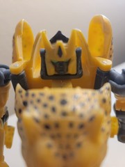 Cheetor Transformers Beast Wars 10th Anniversary