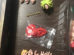 SH Figuarts Dragon Ball Z Red Bolt X Lion Heart SSJ Broly