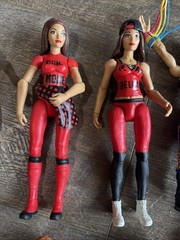 Wwe Women’s Wrestling Figure Lot. Sasha, Becky Lynch, Charlotte Flair, Bailey