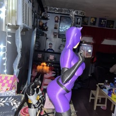 Catwoman Knight Fall