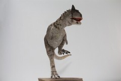 MEMORY MUSEUM 1/15 Carnotaurus Limited Edition Dinosaur Model Figure Toys Gift