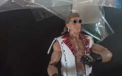 WWE Mattel Legends Series #17 Shamrock w/Chase HBK AJ Styles Ultimate Warrior