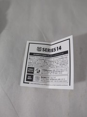BE@RBRICK Bearbrick Series 14 Pattern Arabesque Green 100% Blind Box Minifigure