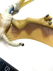 Jurassic Park Geosternbergia Dinosaur Figure Hammond Collection 30th Mattel
