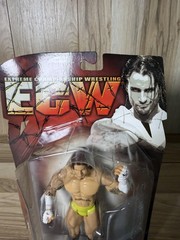 ECW WWE CM Punk Wrestling Action Figure New Card Wear Toy Multicolor ECW
