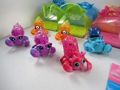 Xia-Xia Hermit Crabs And Shells Lot 2011 Cepia