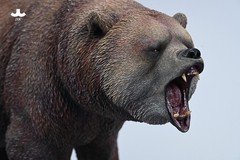 1/6 JXK Brown Bear Model Realistic Fierce Animal Soldier Scene GK Statue Toy new