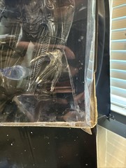 22″ ALIEN figure 1/4 SCALE XENOMORPH 1979 big chap OPEN MOUTH VERS NECA NIB