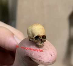 1/18 Scale Skull Model Kits Accessory for 3.75″ Action Figure Custom Scene