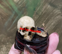 1/6 Scale Skull Model Kits Accessory for Action Figure Custom Scene Set-Up