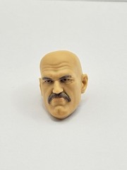 WWE Elite Summerslam 2026 – Jesse Ventura BAF Head Only Fodder (A) 1/12 Scale