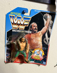 Hasbro WWF Jake “The Snake” Roberts Wrestling Action Figure w/ Snake