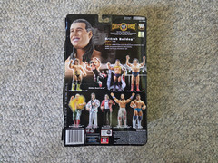 JAKKS Pacific WWE / WWF Classic Superstars BRITISH BULLDOG