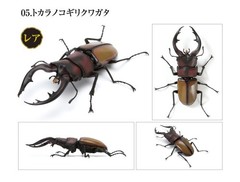Bandai Capsule Toy Creature Encyclopedia Kuwagata/Stag Beetle 03 Full Set of 5!