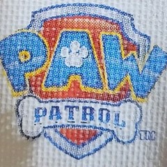 Nickelodeon Paw Patrol Skye Plush Stuffed Animal Polyester 2017 Spin Master