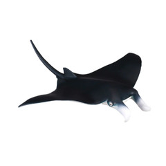 CollectA Realistic Animal Replica Manta Ray Figure Medium Ages 3 Years and Up