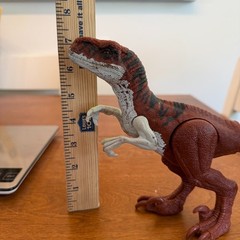 Jurassic World Raptors Dominion Atrociraptor 2021 VGC 13.5″ Long