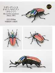 The Diversity of Life on Earth Beetle Vol. 06 Figure Bandai Capsule Toy Gashapon
