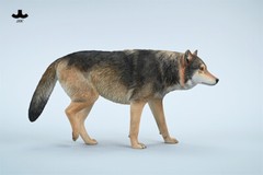 JXK 1/6 Common Gray Wolf Model Collections Animal Figure Decor Toys Xmas Gift