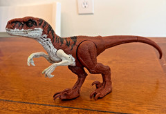 Jurassic World Raptors Dominion Atrociraptor 2021 VGC 13.5″ Long