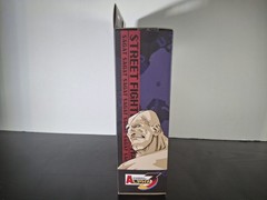 Storm Arena Street Fighter Alpha 3 Sagat Action Figure Complete