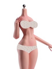 1/6 Flexible Normal MakeupLarge Breast Female Action Figure Body Detail Doll