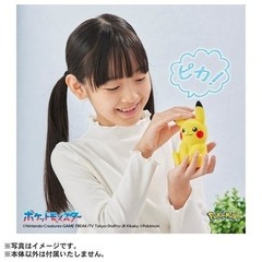 Set of 2 Pokemon 30th Anniversary Welcome Back! Pikachu Plush 1/1 w/ mini