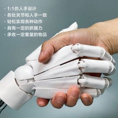 1:1 Hand Model Sculptures Movable Finger Joint Anime Painting Element Art Tool