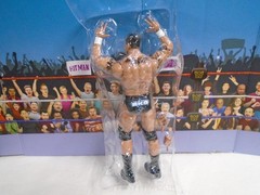 WWE Randy Orton Survivor Series Elite Series 9 Figure Mattel 2026 RKO