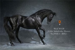 Mr.Z 1/6 Scale Animal Resin Simulation Toy Akhal-Teke Horse Figure 6 Color Model
