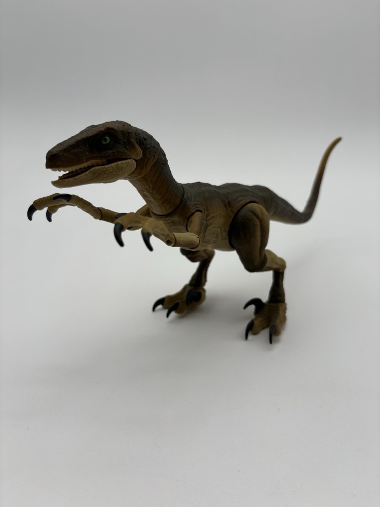Jurassic World Amber Collection Velociraptor Action Figure