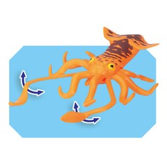 Fun Storm Deep Sea Biology Series Sperm Whale King Octopus Children’s Model Toy