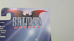 Batman Beyond Blight (See Photos)