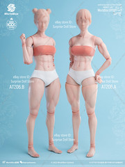 US Worldbox AT201 AT202 AT203 AT206 AT210 1/6 Flexible Joint Body Female Figure