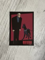 McFarlane DC Multiverse Batman Beyond Bruce Wayne & Ace Card Included Animated