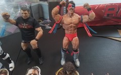 WWE Mattel Legends Series #17 Shamrock w/Chase HBK AJ Styles Ultimate Warrior