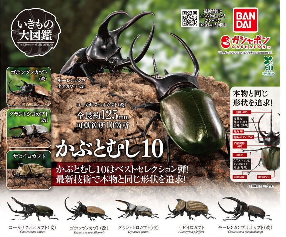 The Diversity of Life on Earth Beetle 10 Action Figure Bandai Capsule Toy