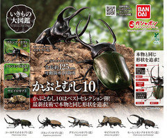 The Diversity of Life on Earth Beetle 10 Action Figure Bandai Capsule Toy