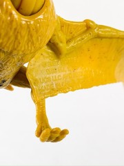 Mattel Jurassic World Pteranodon Dinosaur Figure Yellow Black 3684RM 2018