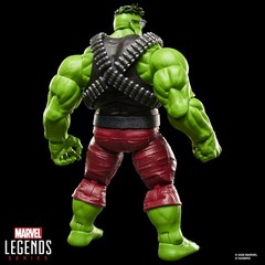Incredible Hulk – Marvel Legends – Professor Hulk Action Figure [New Toy] Acti