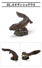 The Diversity of Life on Earth Mini Collection Amphibian Andrias Japonicus