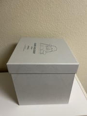 KAWS HOLIDAY JAPAN 2019 Mount Fuji Gray Plush AUTHENTIC W/ Box LIMITED EDITON